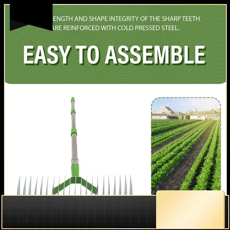 

Thatch Rakes, Lawn Thatch Rakes, Weeder Rakes, Multipurpose Lawn Grooming Rakes For Cleaning Dead Grass, Durable With Handle-N37