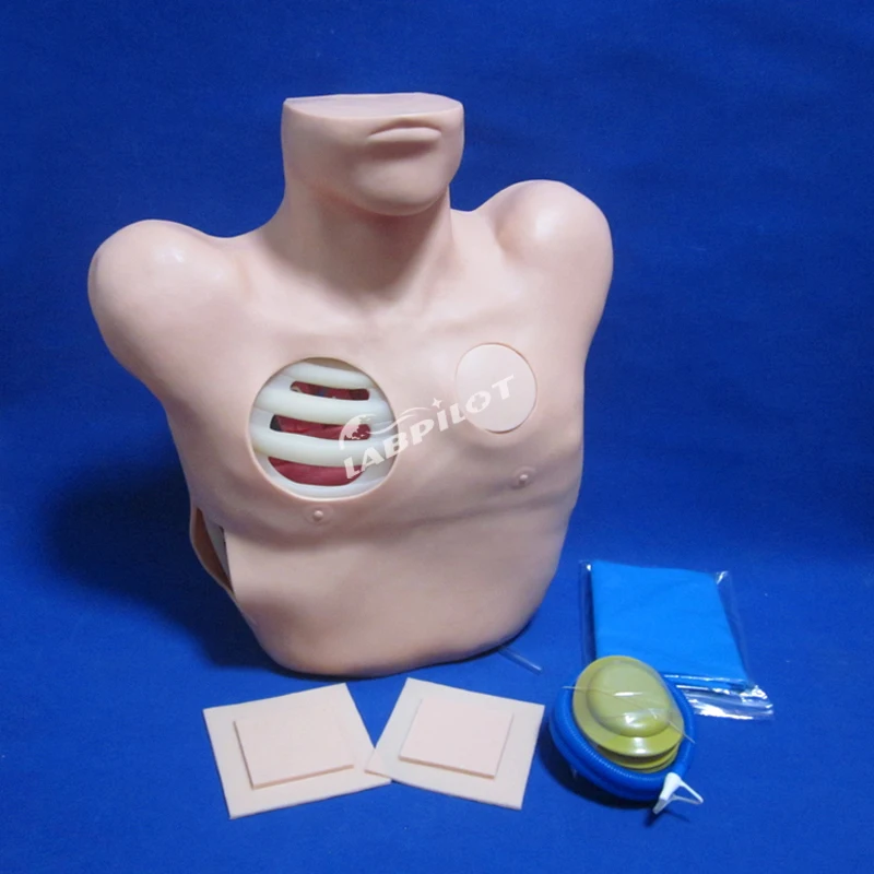 

Pleural Drainage Simulator Thoracentesis Human Chest Nursing Training Manikin Torso Model