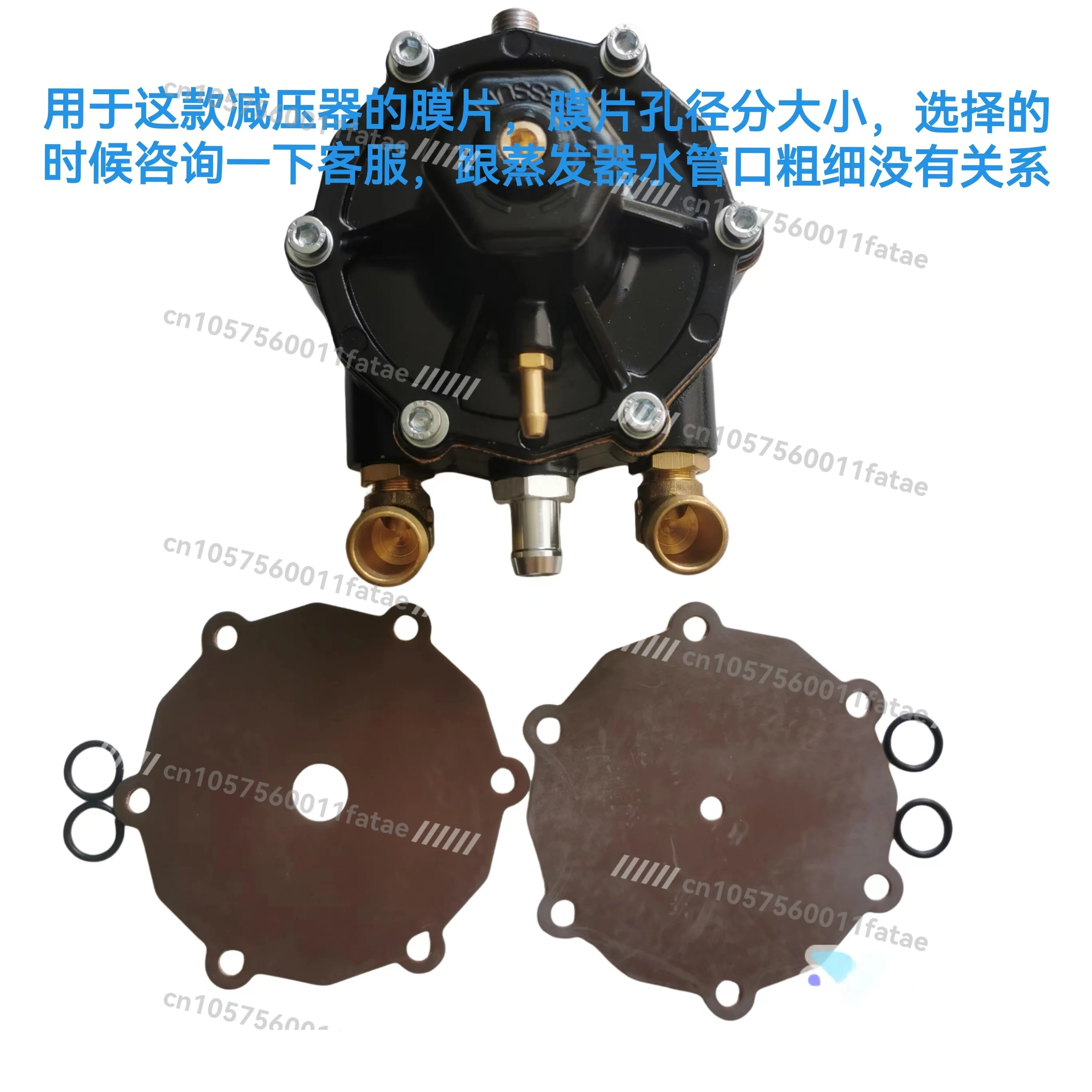 

LPG Liquefied Gas Evaporator, Diaphragm Gasket Auto Parts Car Change Lpg