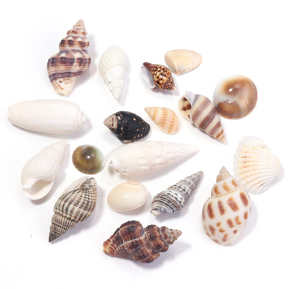 40 gr/beutel Natürliche Shell Perlen Kein Loch Conch Shell Für Schmuck Machen DIY Halskette Armbänder Hause Aquarium Dekoration Zubehör