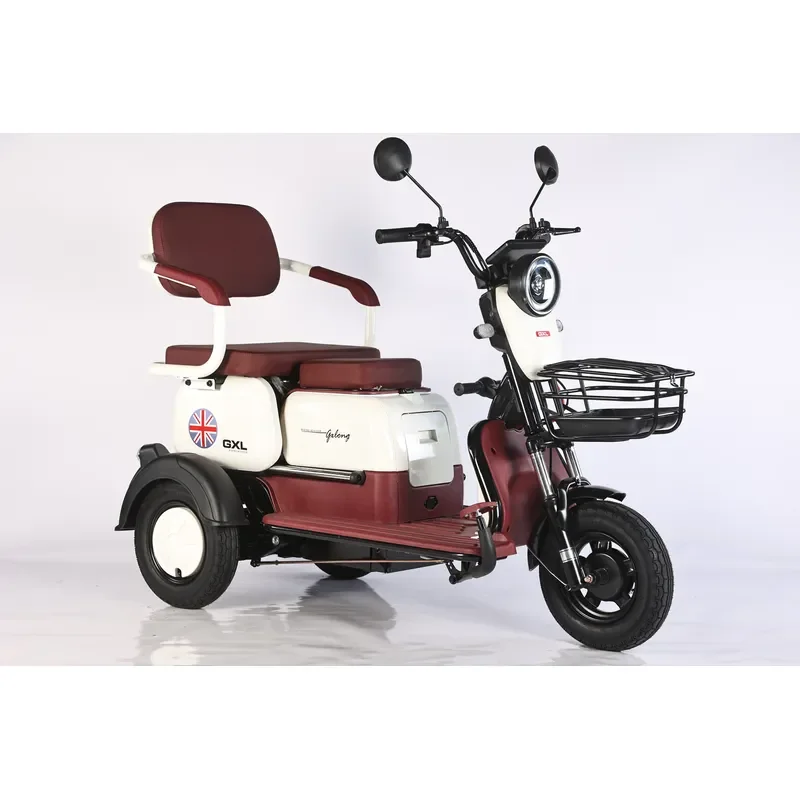 Low Speed Safe Electric Tricycle Closed Body Cargo 200-300kg Payload 30-50km Range Household Daily Commute Power Saving