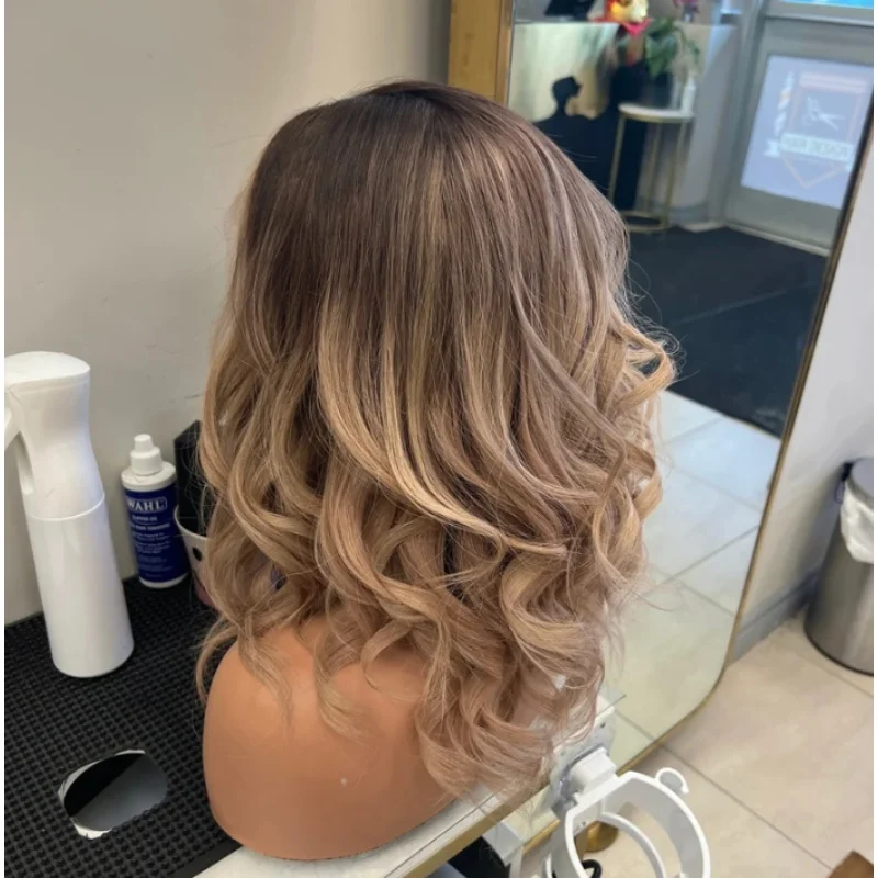 

Body Wave Synthetic Wigs Pre Plucked Hairline Blonde Mix Brown Wig Glueless Transparent Lace Front Wig Natural Dark Roots Wigs