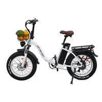 Drvetion CT20 Electric Bike 750W 48V20AH Dual Battery City Folding E-bike Aldult 20*4.0 In Fat Tire Snow Electric Bicycle