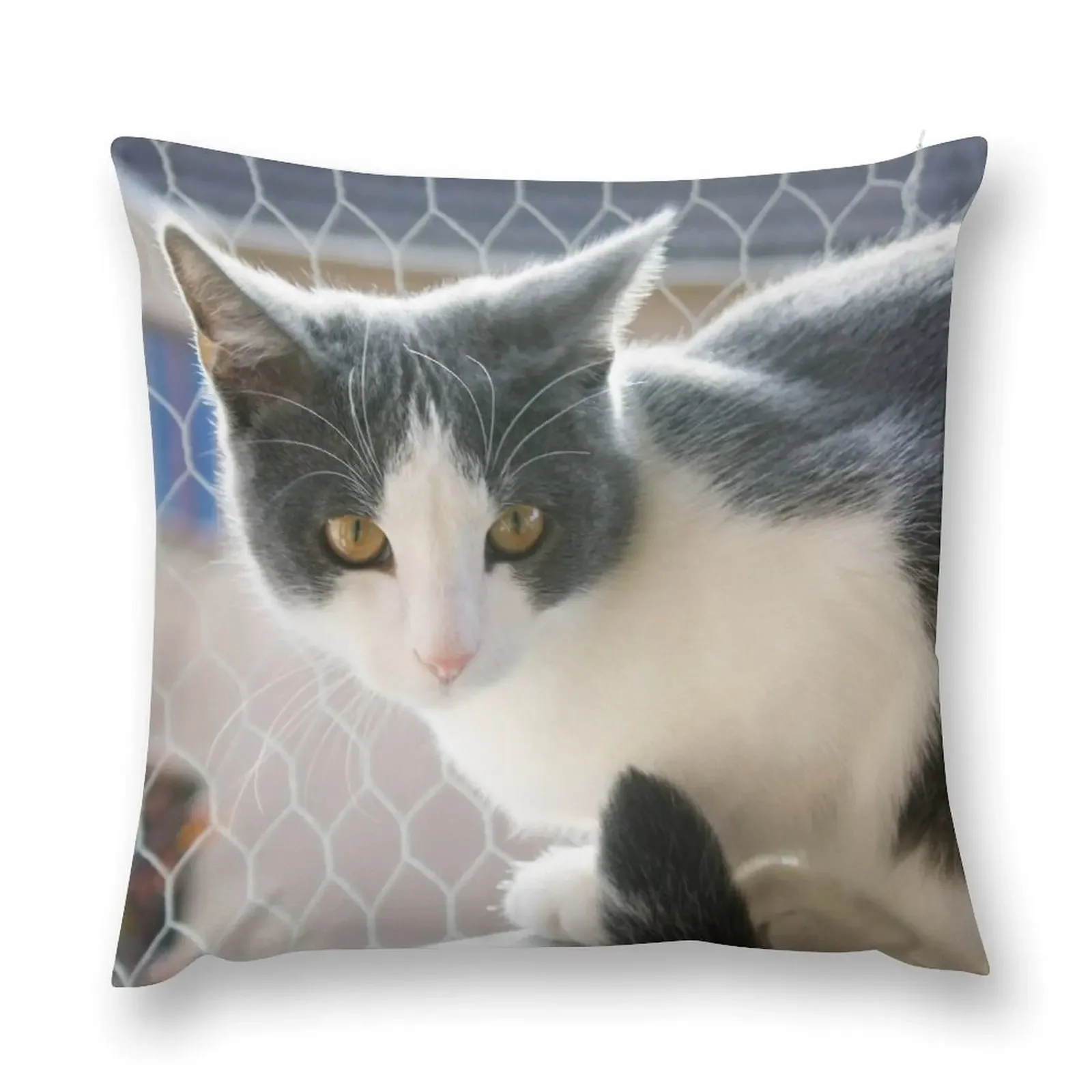 

Grey And White Tuxedo Cat Photograph Throw Pillow Throw Pillow Cushions For Children home decor items Christmas Pillow