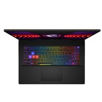 Laptop MSI Sword 17 HX B14VGKG-248XPL i7-14650HX 17 \