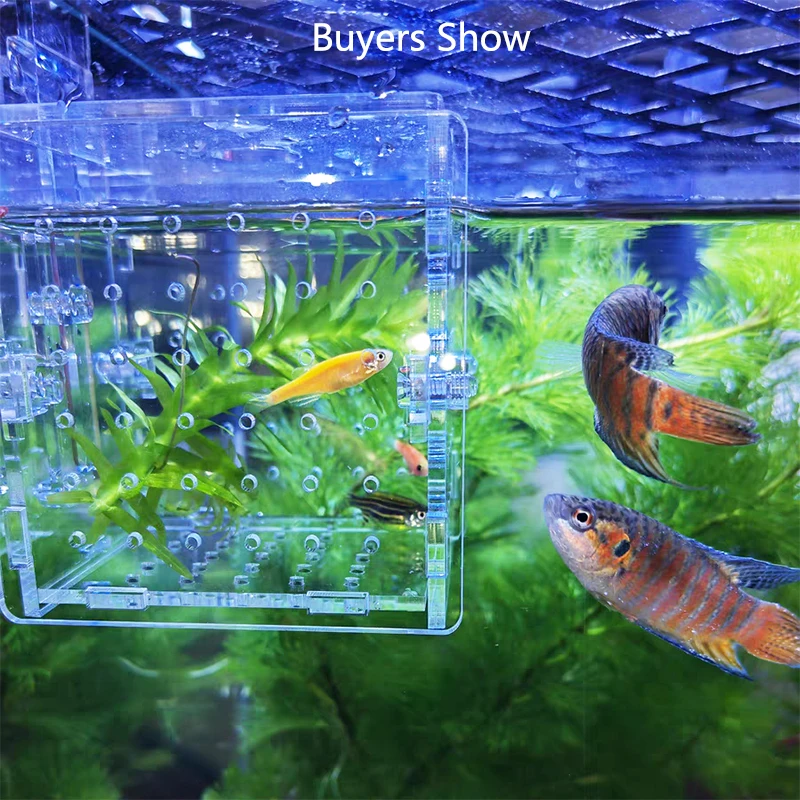 High Transparent Acrylic Aquarium Fish Breeding Isolation Box Fish Aquarium Breeder Hatching Incubator Fish Tank Accessories