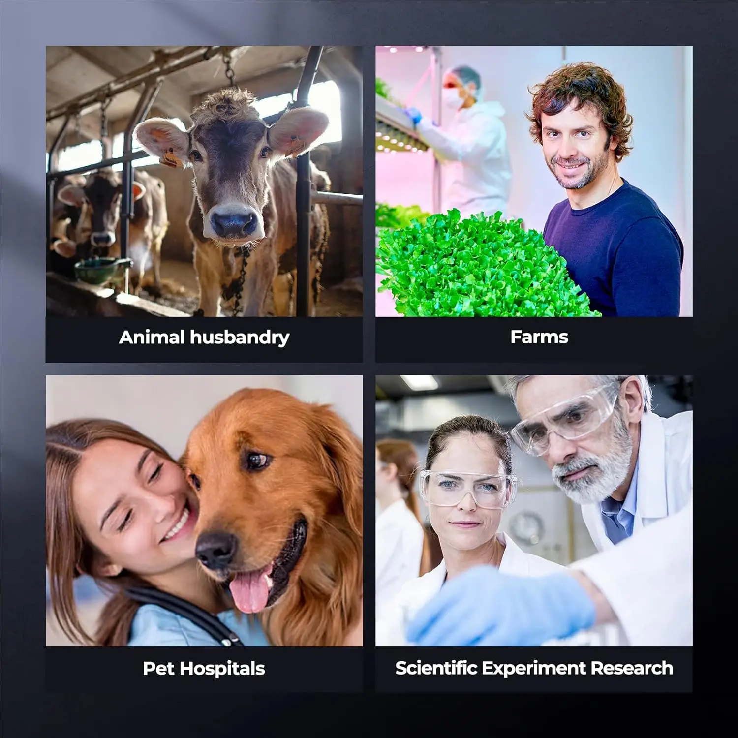 [듀얼 전원 공급] 실험실용 복합 5MP 카메라 삼안 현미경 40X-2500X 배율 및 무료 소프트웨어 캡처