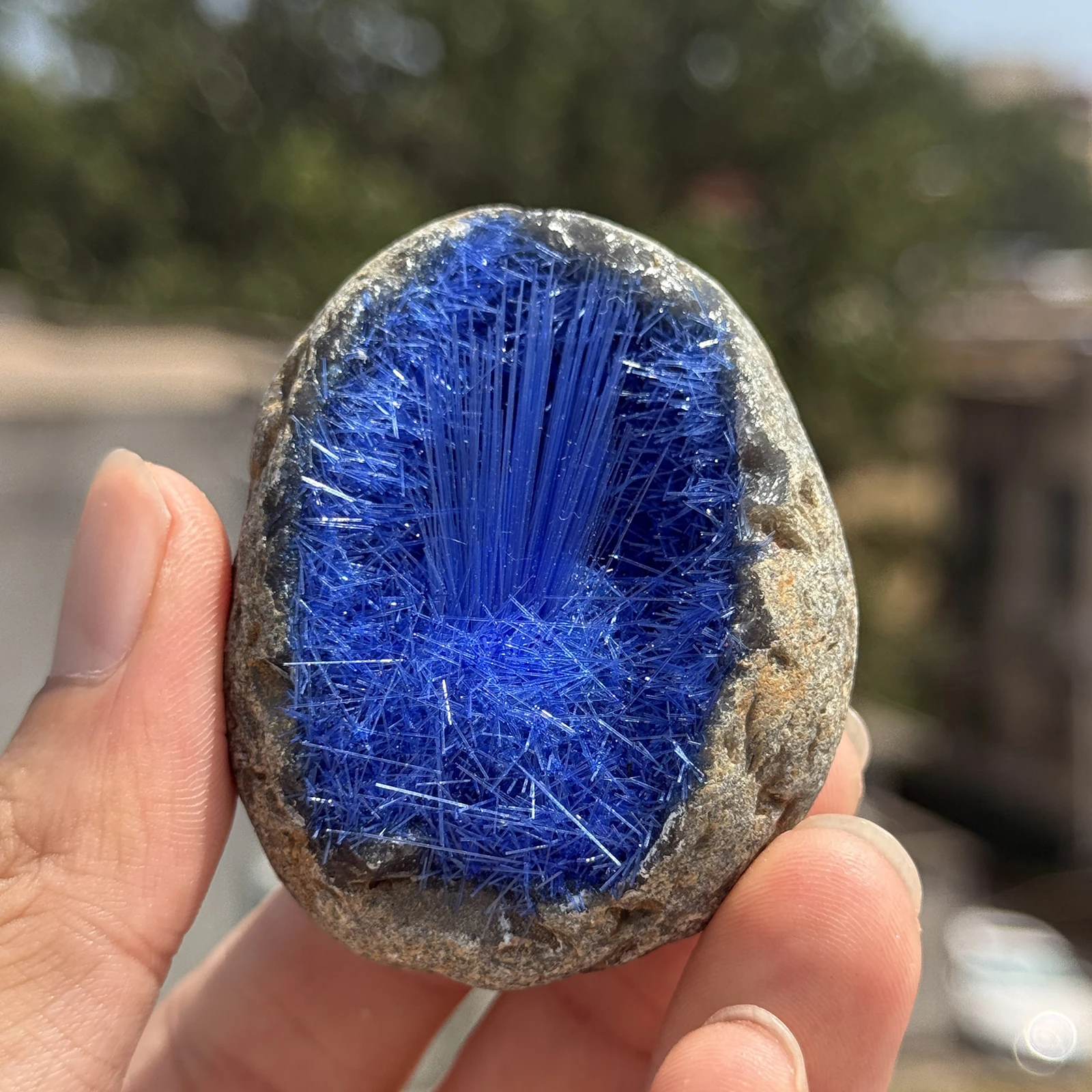 1 قطعة عينة الكهف المعدنية، كريستال على شكل إبرة زرقاء - عمل فني جمالي طبيعي أنيق، هيكل عالي الجودة،