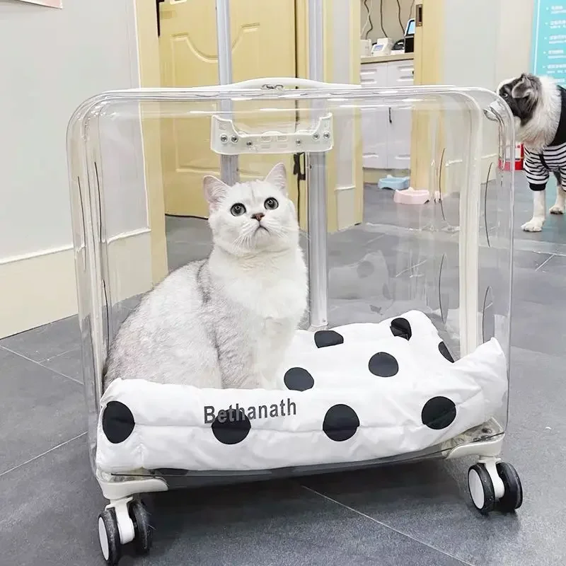 Lightweight Transparent Pet Trolley Case Professional Cat Stroller with Wheels Beauty Case Travel Expandable Pets Accessories