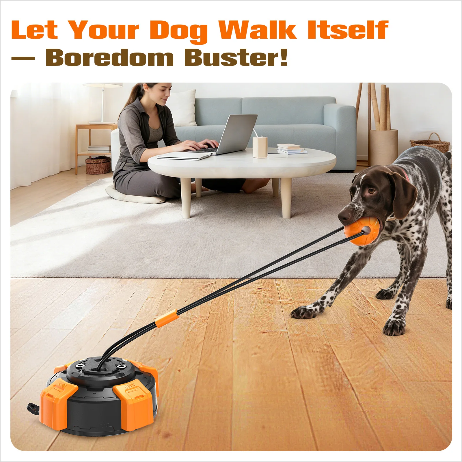6th Upgraded Powerful Suction  - đánh giá và giá Suction Cup Dog Tug Toy