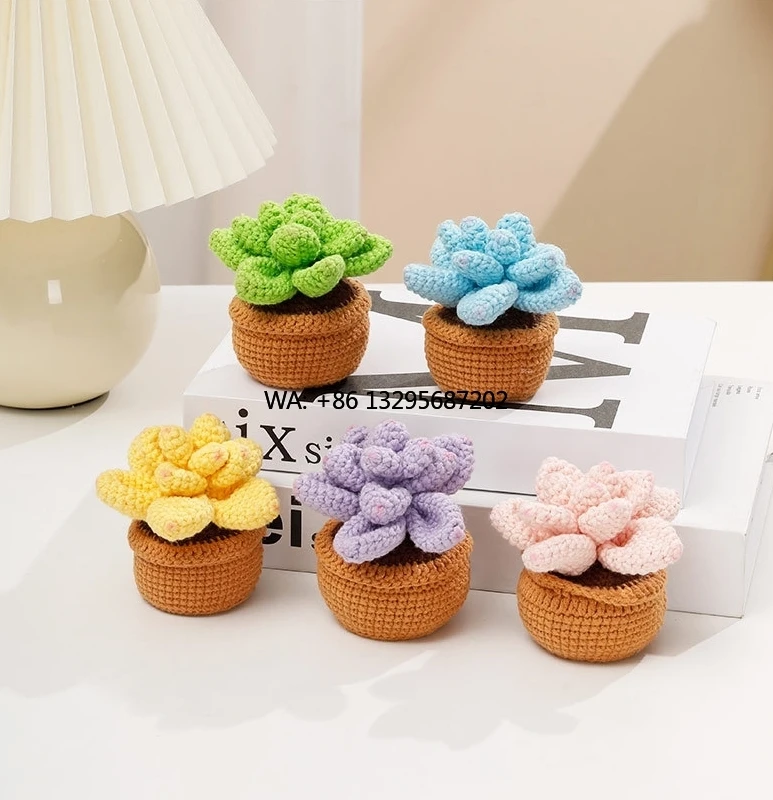 

Crochet Kit for Beginners 5PCS Plants Beginner DIY Custom Crochet Kit for Adults