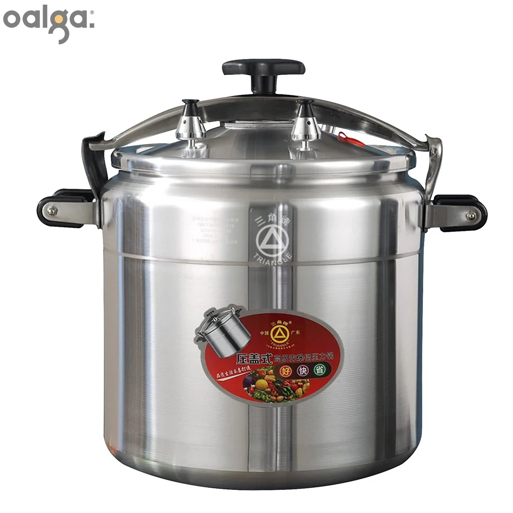 

Electric Pressure Cooker, Rice Cooker, Stainless Steel Pot, Cuisine Cooker