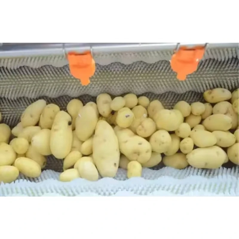 Commercial High Cost Performance Root Vegetable Hair Roller Peeling Cleaning Machine Cassava Carrot Peeling Cleaning Machine