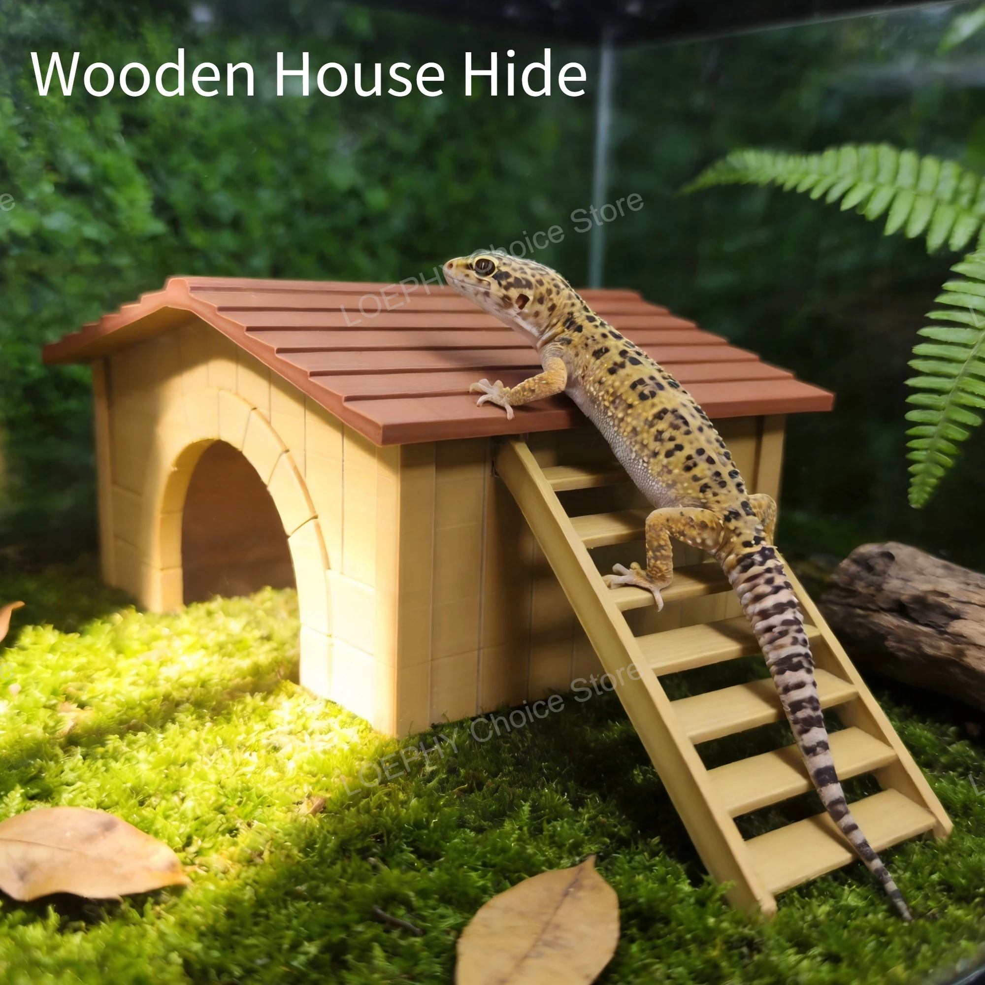 Reptile Cabin Hideout with Removable Ladder Two Tone PETG House with Climbing Ladder for Leopard Gecko, Beardie andSmall Snakes