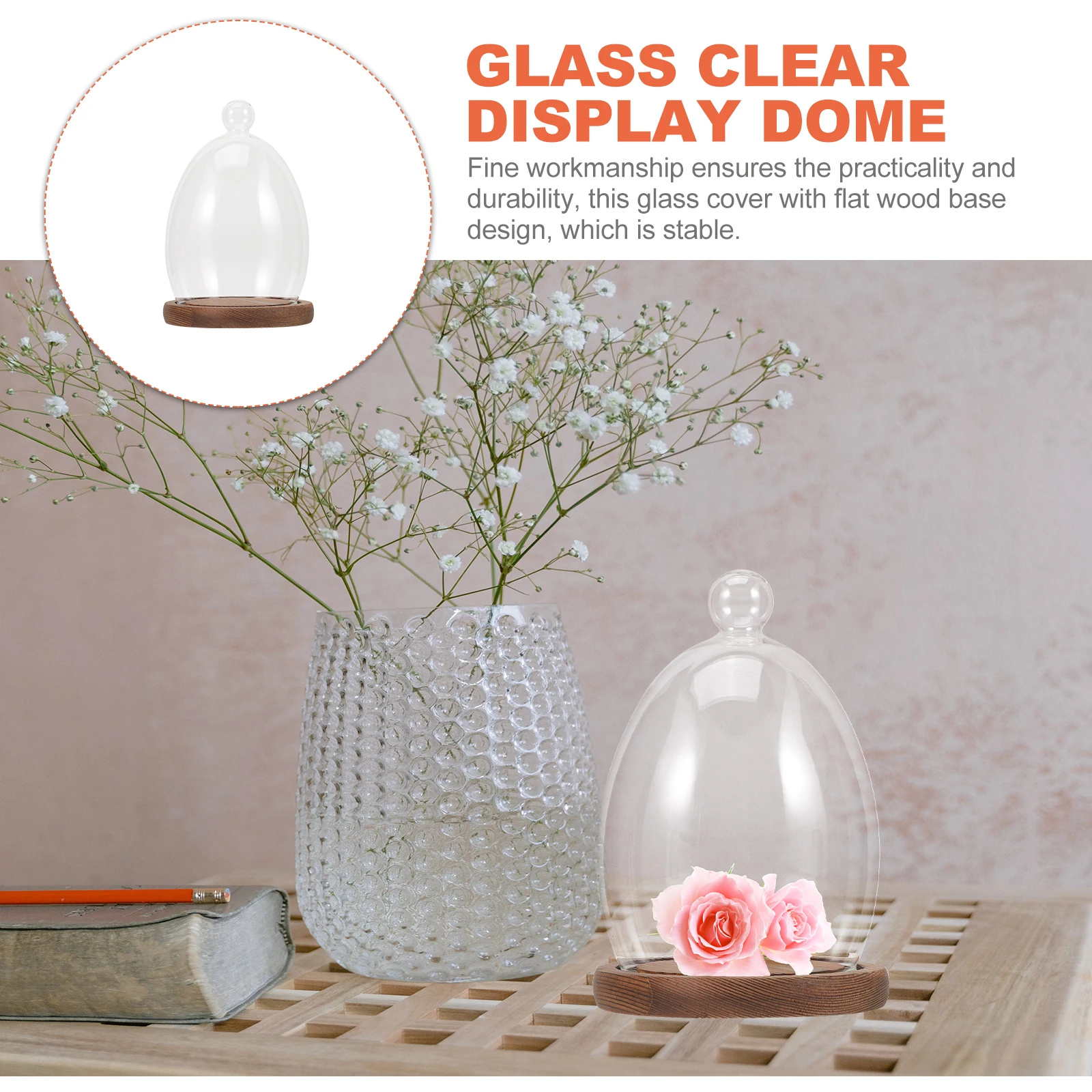 

Egg Shaped Glass Dome Cover Clear Decorative Storage Vase with Wood Base for Flowers Micro Landscape Home Office