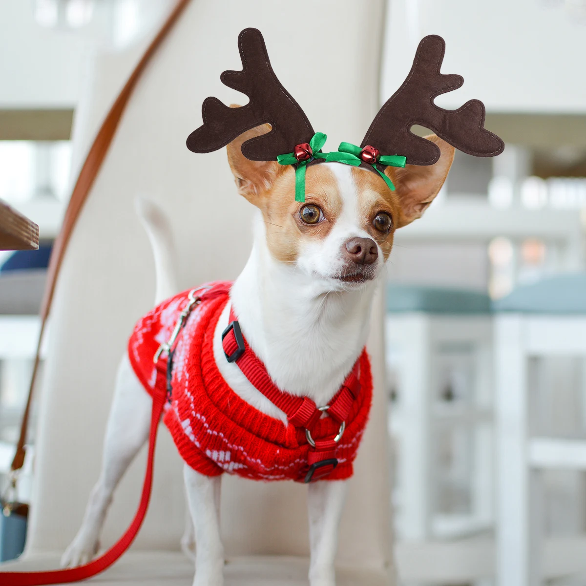 

Adorable Christmas Pet Deer Antler Headwear Adjustable Dog Headband Holiday Costume Photography Outdoors Comfortable Premium