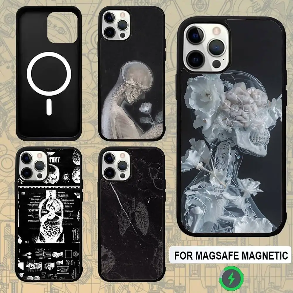 

Medical Human Anatomy For Magsafe Wireless Charger Case For iPhone 15,16,17,13,14,11,12,Pro,Max,Plus,E,Air,Mini Protection