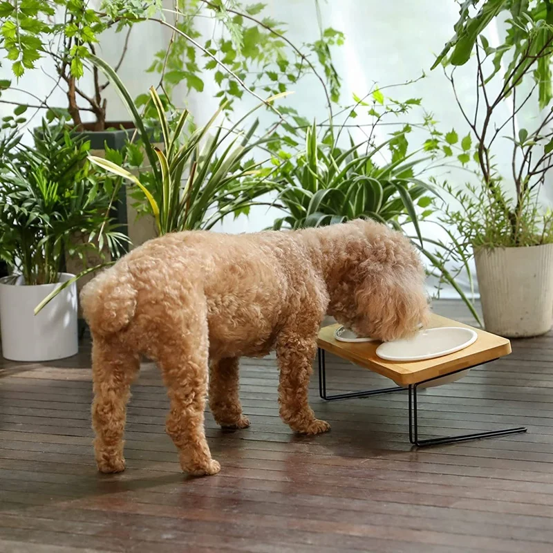 Tigelas de cerâmica elevadas para gatos, pratos de alimentação para comida de cachorro pequeno, conjunto de alimentador de suporte de água de bambu sólido para gatos e filhotes duráveis