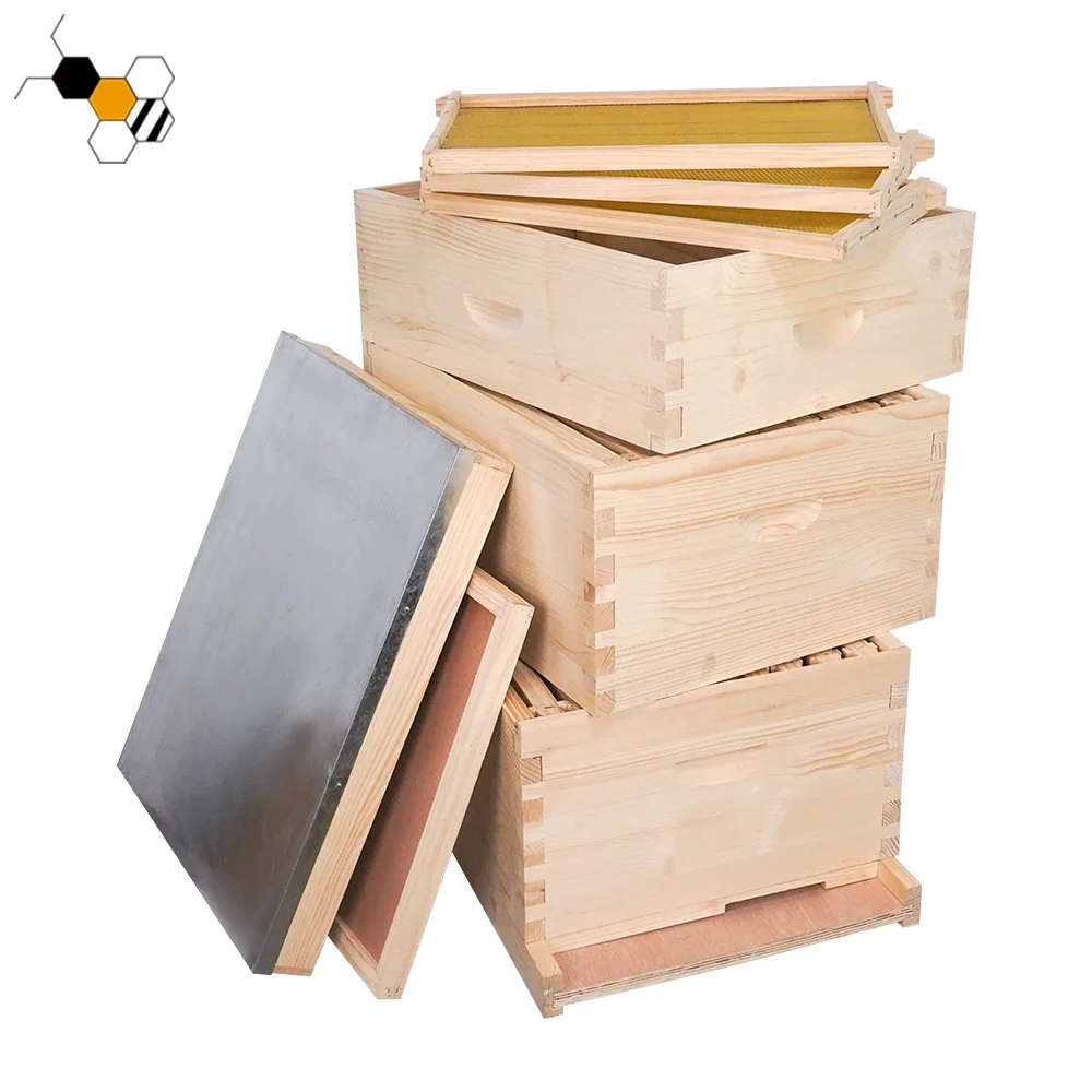 

Beekeeping beehive bee box langstroth bee hive 10 frame