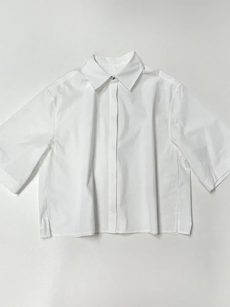 

Короткая блузка для женщин 2024: Новинка весны, вышивка, отложной воротник, скрытые пуговицы, универсальная повседневная рубашка с рукавом до локтя