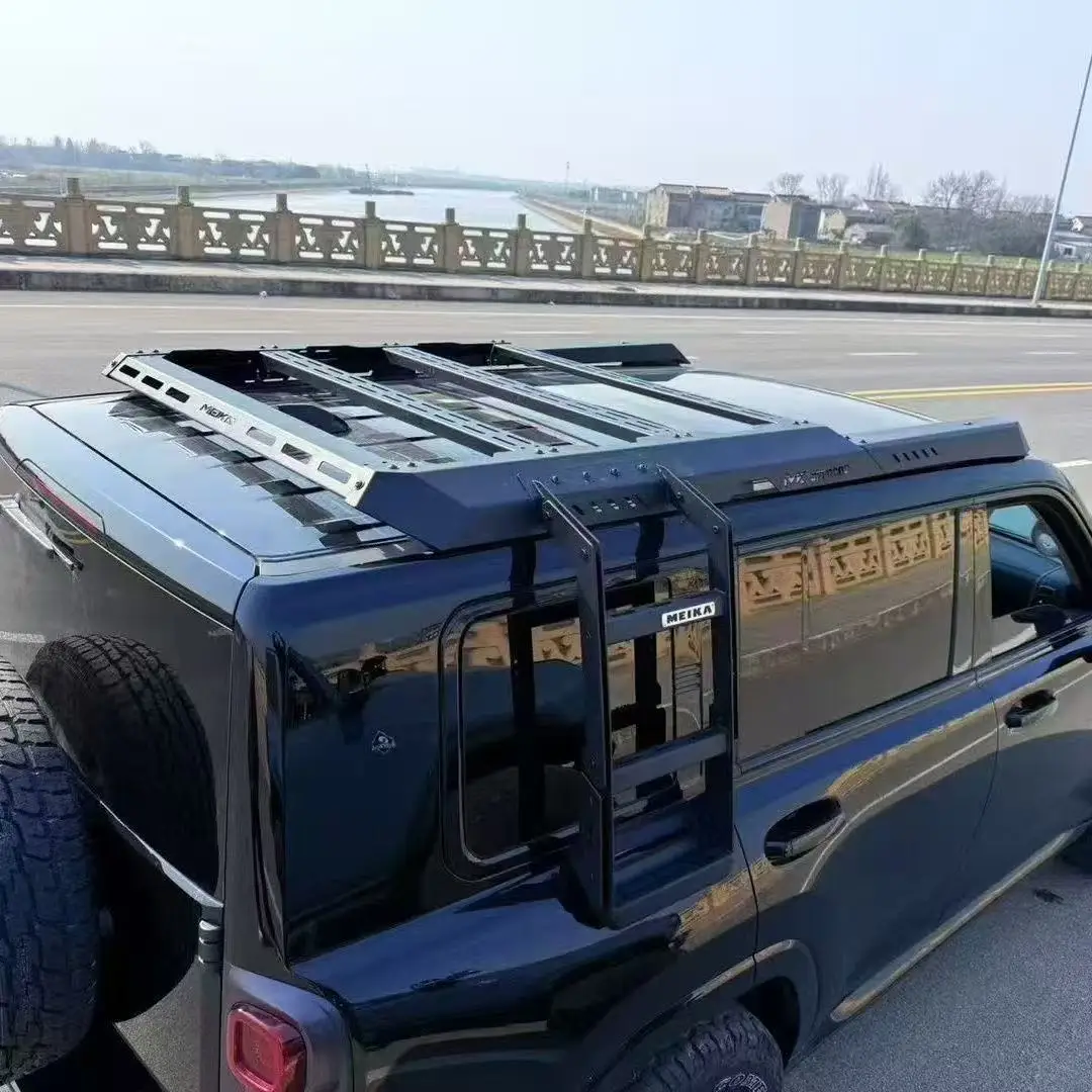 

The 2024 year is an installation of h9 roof racks and side ladders custom