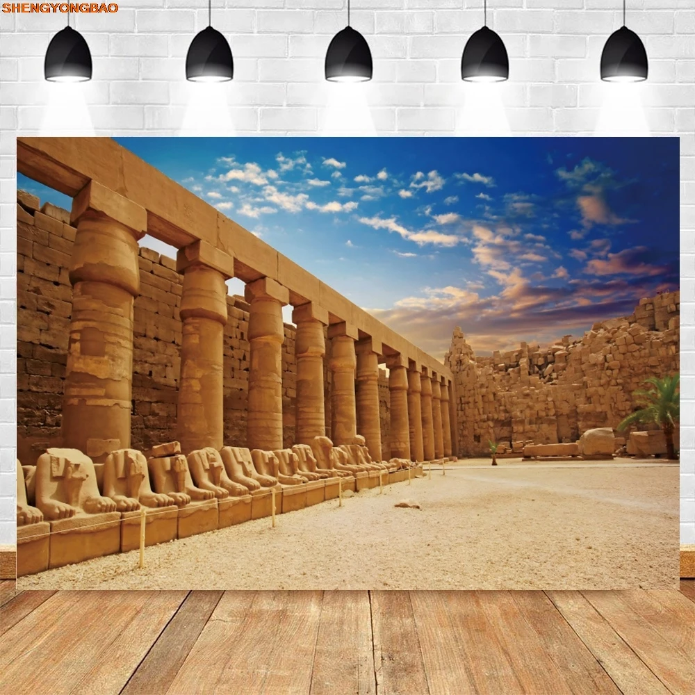Египетские пирамиды фон Египет Древняя архитектура Руины Сфинкс пустыня небо облака взрослые детский портретный фон для фотосъемки