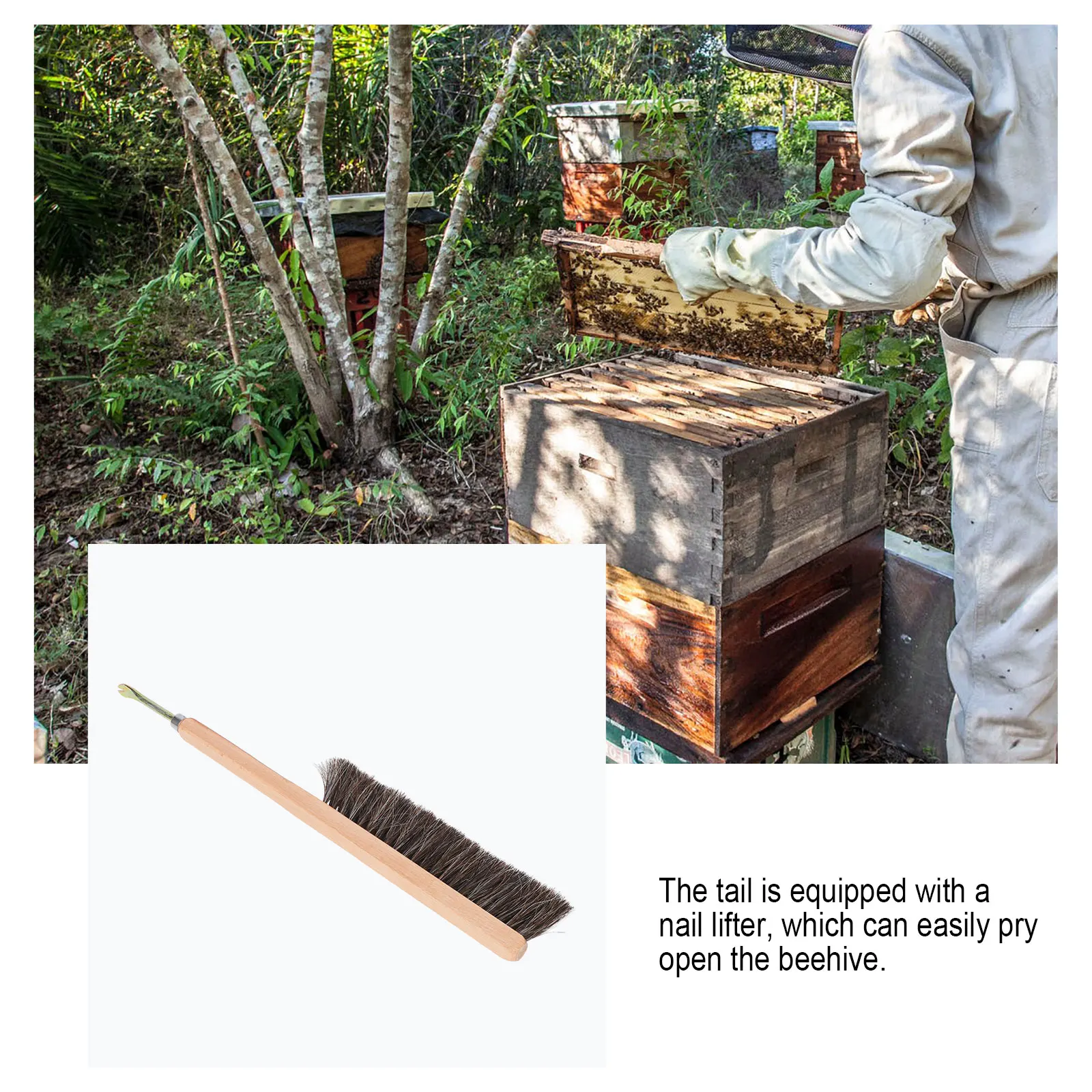 

Beekeeping Tool Brush Brush Stainless Steel Nail Lifter Brown Wooden Handle for Hive Cleaning Bee Supplies