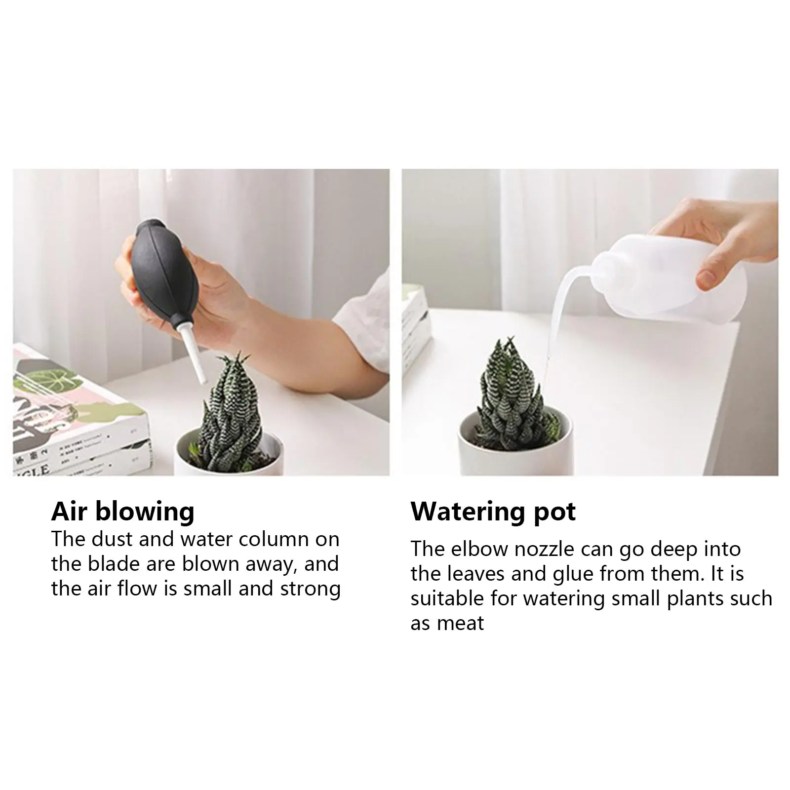 Juego de Herramientas carnosas para plantas, productos de flores en maceta, herramientas de jardinería, traje de mantenimiento, plantación carnosa, 8 piezas