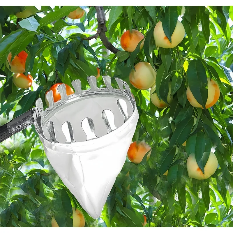 Imagem -03 - Picker de Frutas de Alta Altitude com Cesta Telescópica Pólo Ferramenta de Colheita de Frutas de Jardim Maçã Laranja Abacate Colheita de Manga