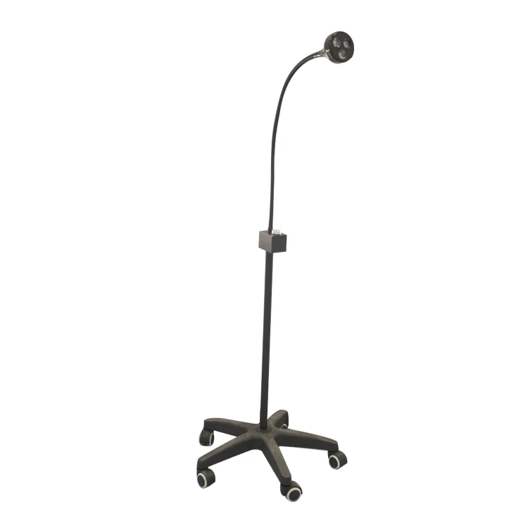 Veterinary hospital or clinic or standing LED inspection light