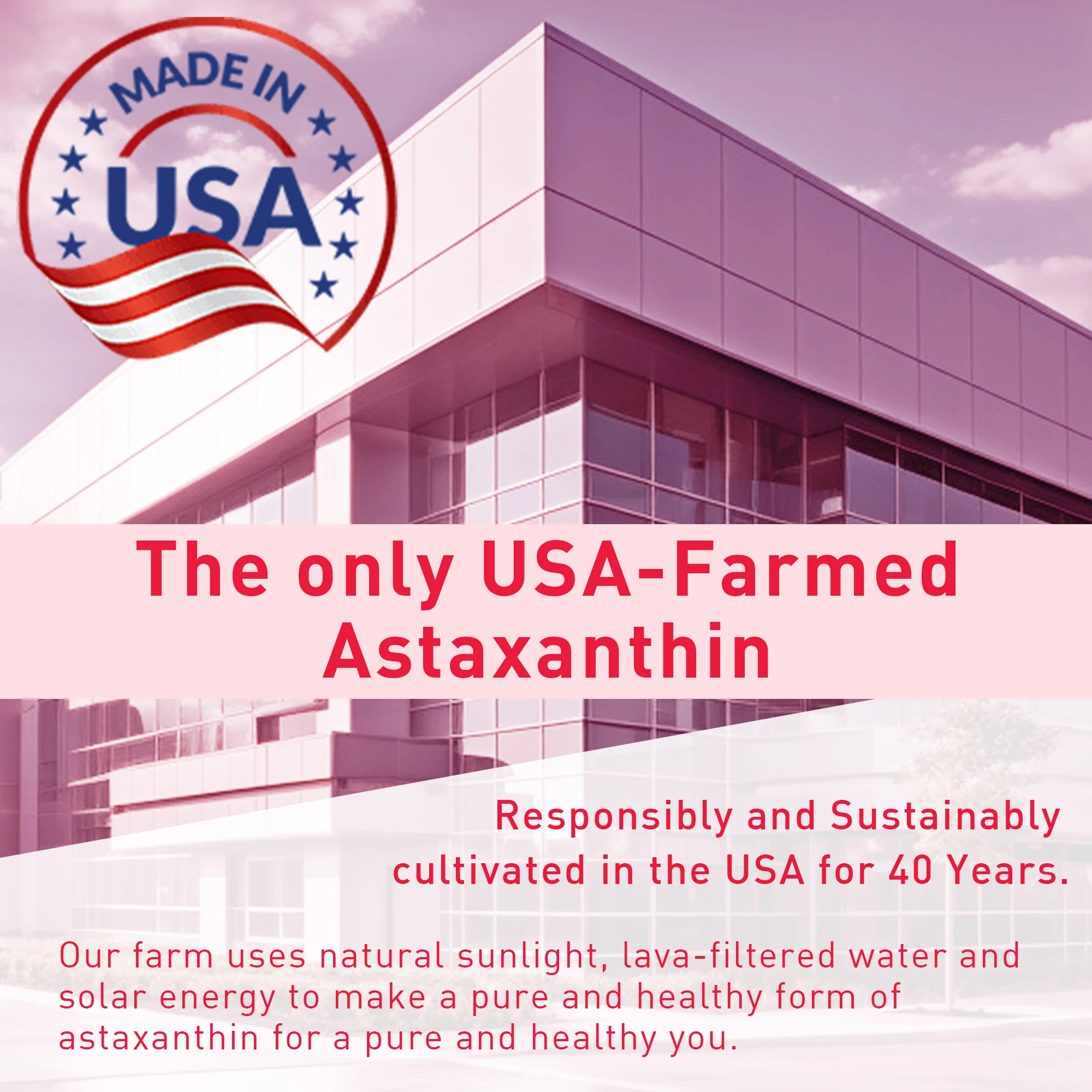 Astaxanthin - Supports Eye, Skin, Joint and Immune System Health, Non-GMO