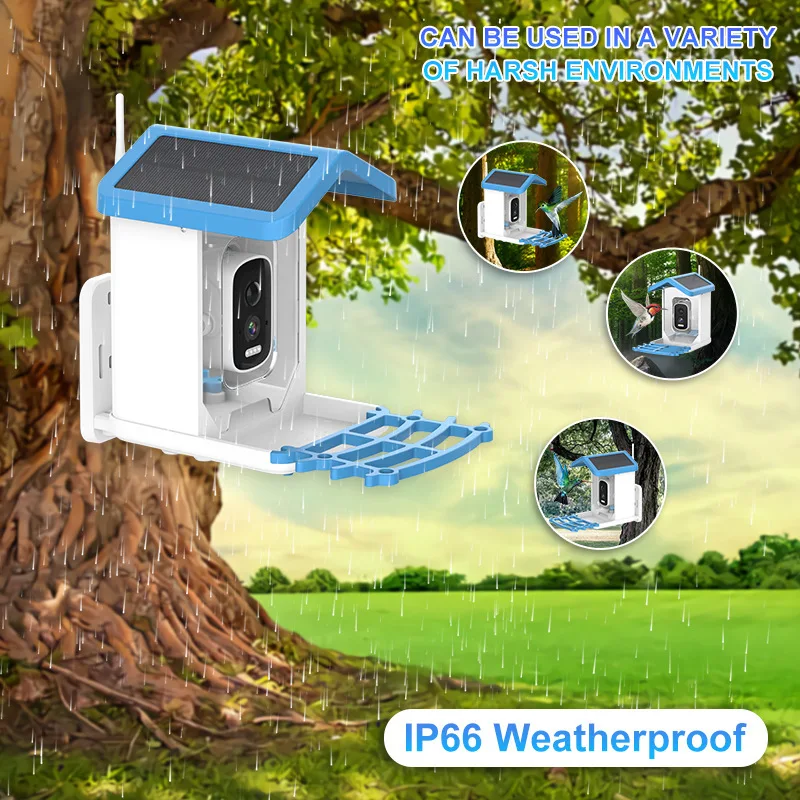 Solar Powered Smart Bird Feeder Camera with 5MP WiFi PTZ AI