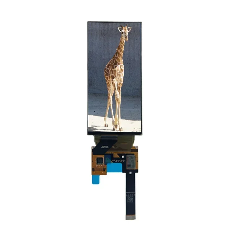 High Contrast Ratio 5.1 Inch Flexible Amoled Display 720*1520 Pixel MIPI-DSI 4 lanes OLED