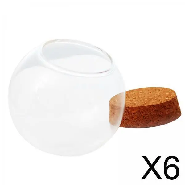 6X Glass Dome With …