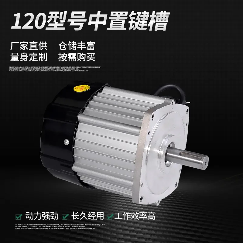 Direct brushless 120 model differential electric vehicle, DC brushless motor, copper core chain motor