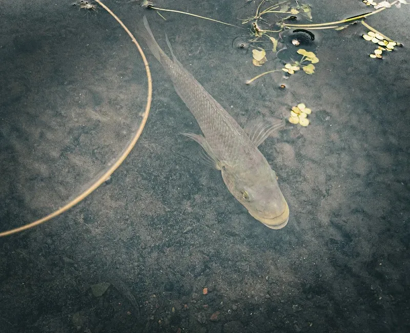 

RC Car On-Road Body Frame 260mm Wheelbase 4WD Driving System for 1/10 Racing Parts Upgrades Accessories