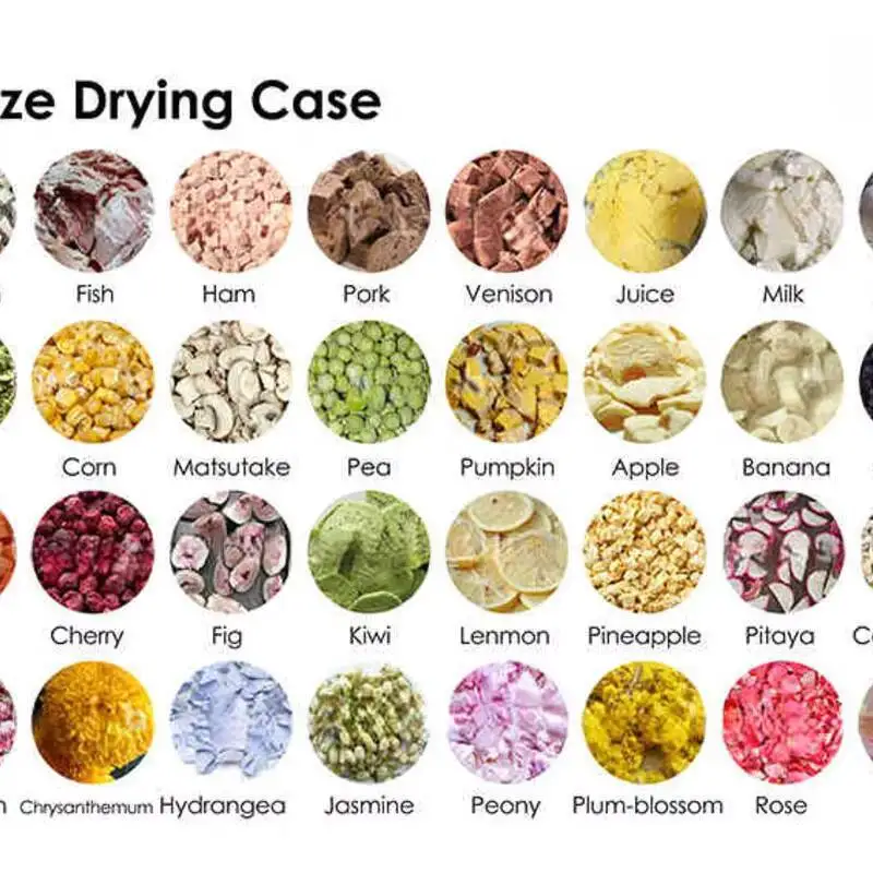 2025 جديد 8 كجم 10 كجم فراغ آلة مجفف بالتجميد 6 صواني الاستخدام المنزلي آلة تجميد الفاكهة للأغذية