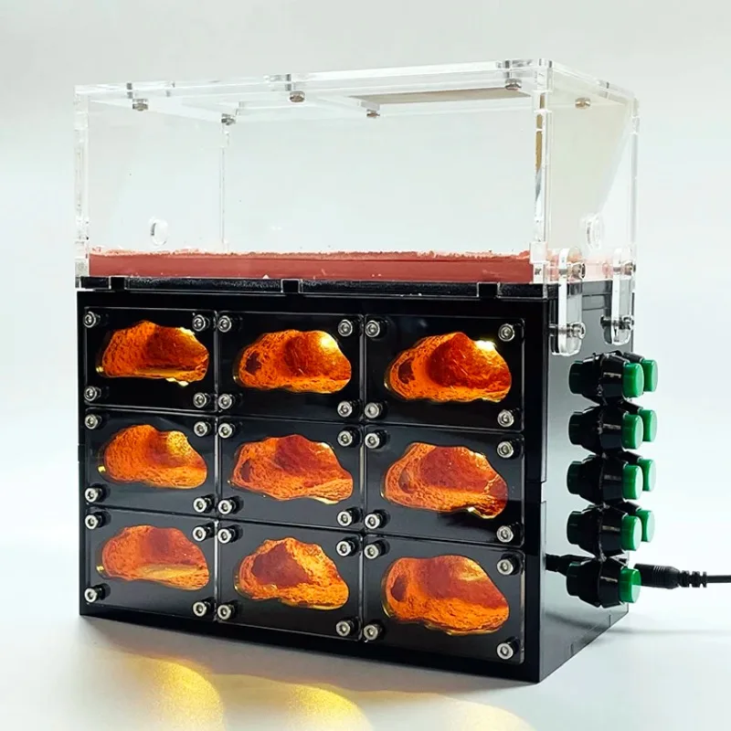 USB Independent Lights Control Ecological Ant Farm ,Ants Living House Concrete Workshop Ant Nest Pet Anthill Insect Box