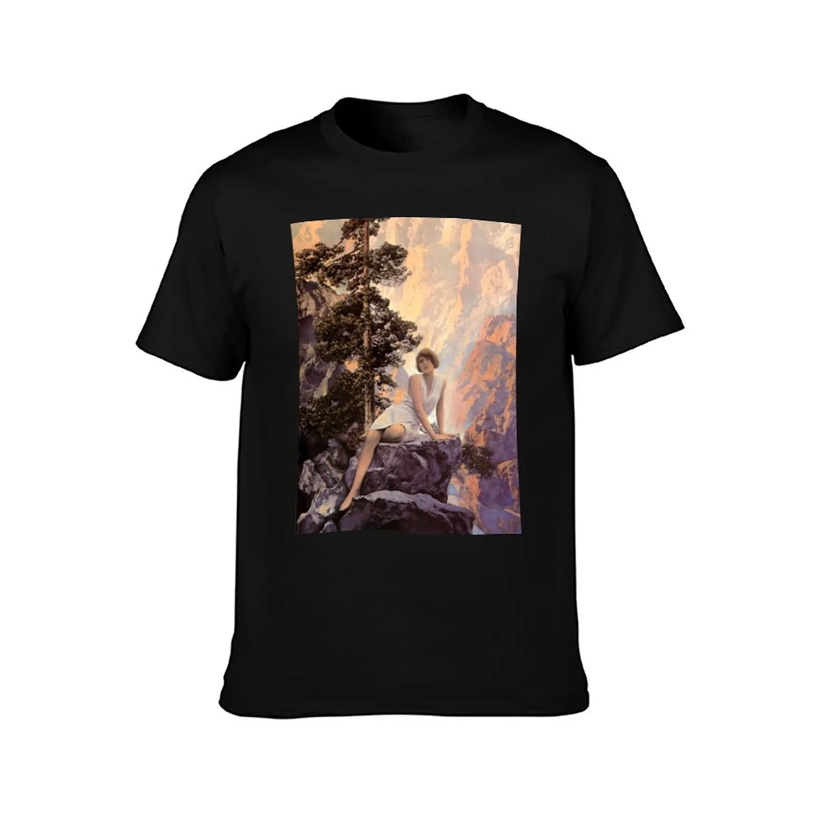 Maxfield Parrish. Solitude. T-Shirt Casual Pattern Print Tee Shirt T-Shirt