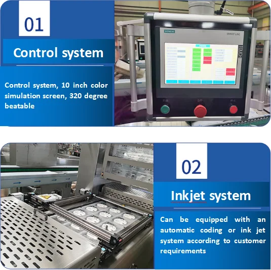 آلة التعبئة والتغليف بالفراغ الحراري للجبن #5