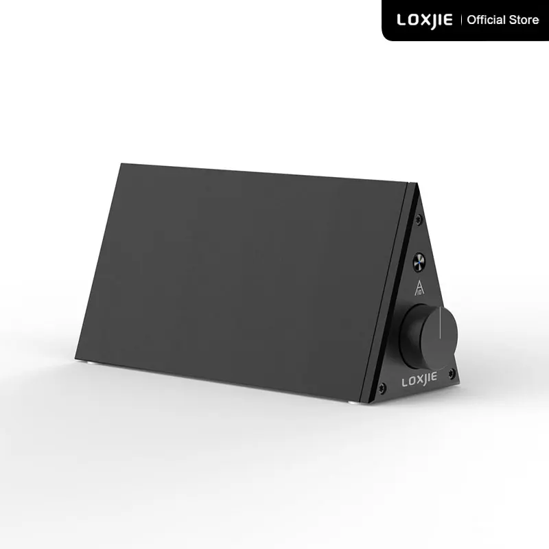 LOXJIE A10 Desktop Stereo Amplificatore di Potenza Digitale di Classe-D Ad alta Potenza Audiophile Livello Amp Chip di TPA3116