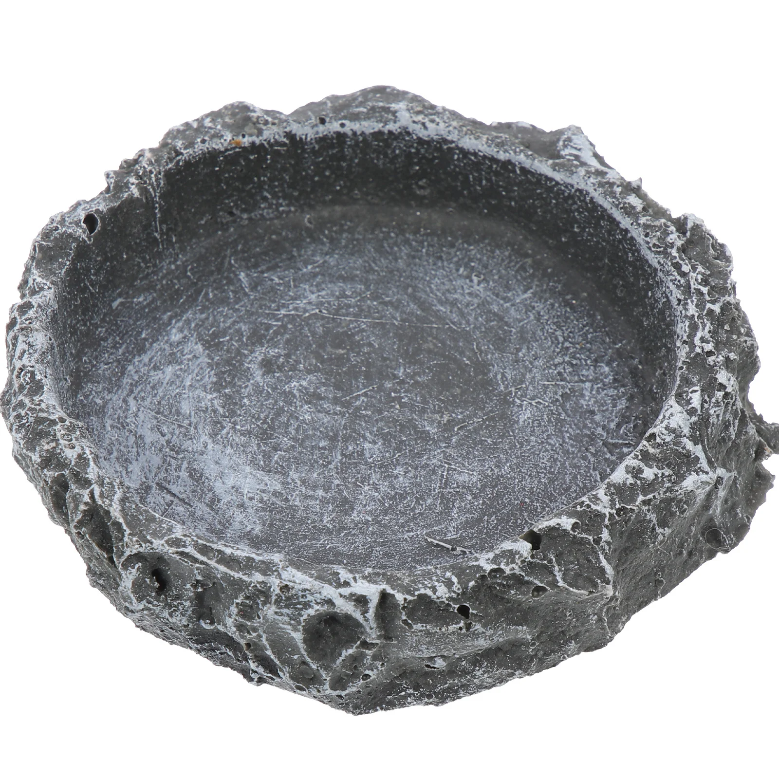 

Tortoise Feeding Basin Reptile Water Dish Nonporous Durable Safe Smooth Surface Reptile Supplies Terrarium Food Bowl