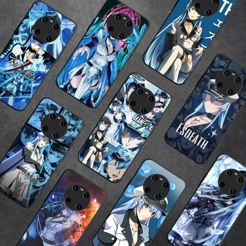 Akame Ga Kill Esdeath Phone Case For Huawei Y9 6 7 5 Prime Enjoy 7s 7 8 Plus 7a 9e 9plus 8E Lite Psmart Shell