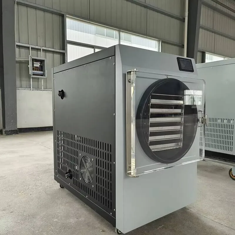 

Freeze Dryer Small Laboratory 1 Square Vacuum Fruit Cordyceps Bird's Nest Freeze Dryer