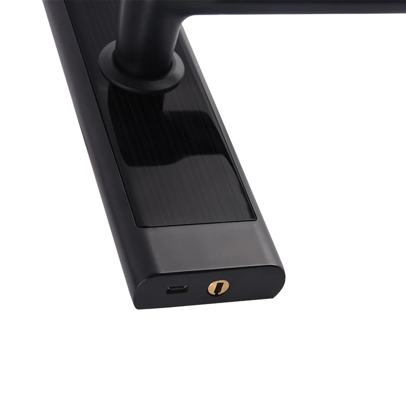 Apartment Safe Digital Ttlock Keyless Lock Elektronisches Tuya Aluminium Tür Fingerabdruck Smart Lock