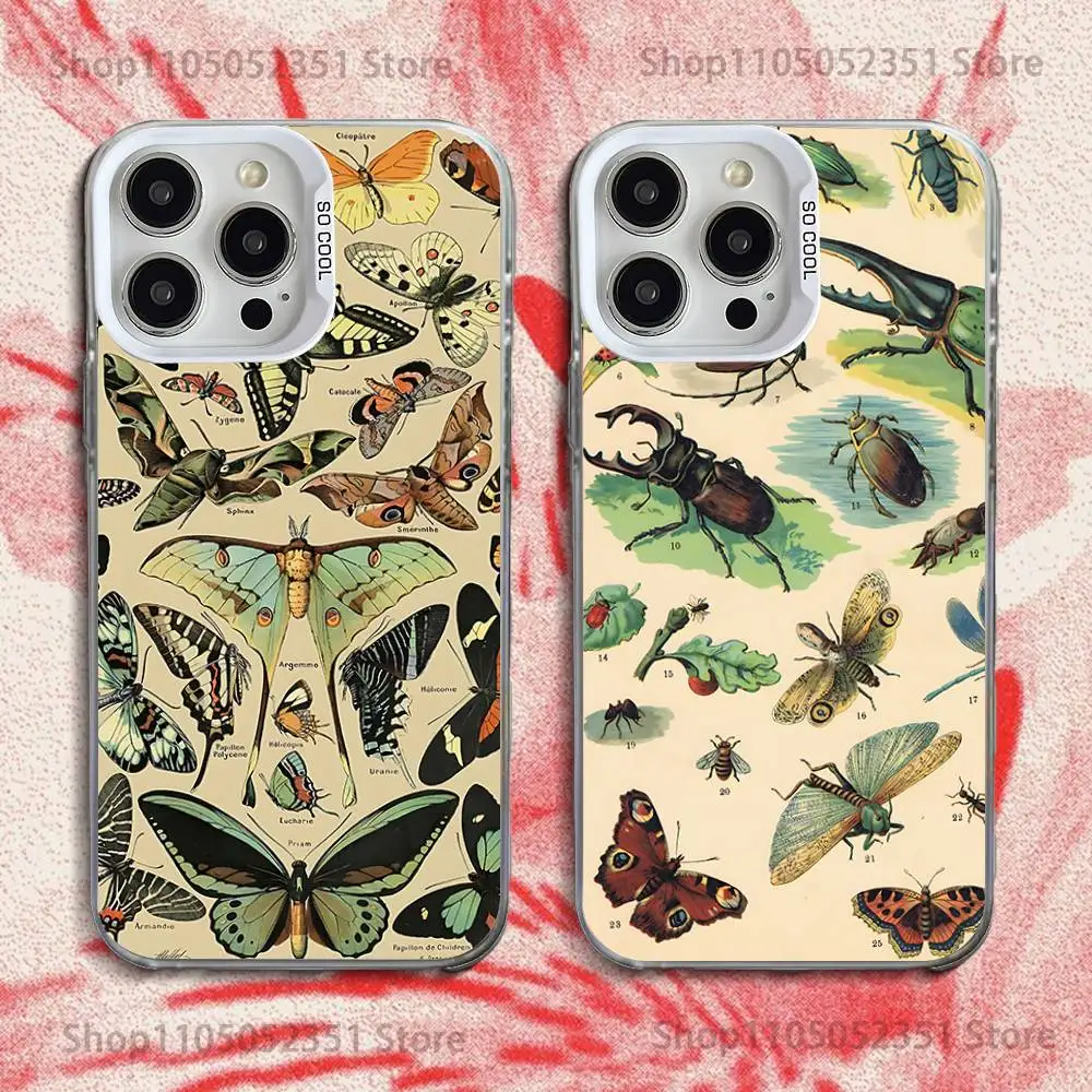 

Insects And Bugs Phone Case For iPhone 16,15,14,13,12,11,Pro,XS,Max,Plus,Mini,SE White Candy Matte Shockproof Cover