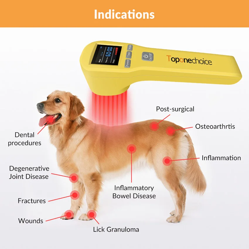 808nm + 650nm 20 Diodi Dispositivo per Terapia Laser Freddo Laser a Basso Livello Terapia a Luce Rossa Sollievo dal Dolore Guarigione delle Ferite Fisioterapia