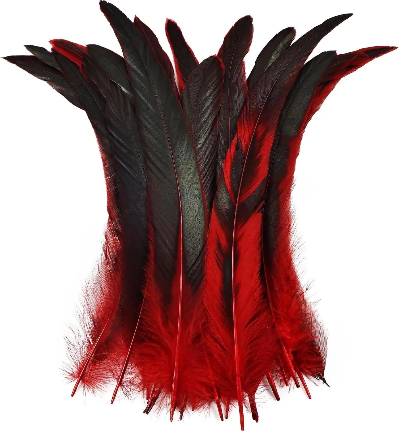 

Цветные перья из хвоста петуха-100 шт. 11-14 дюймов Натуральные длинные перья из хвоста петуха оптом (красные) Свадебные принадлежности Ювелирные изделия своими руками