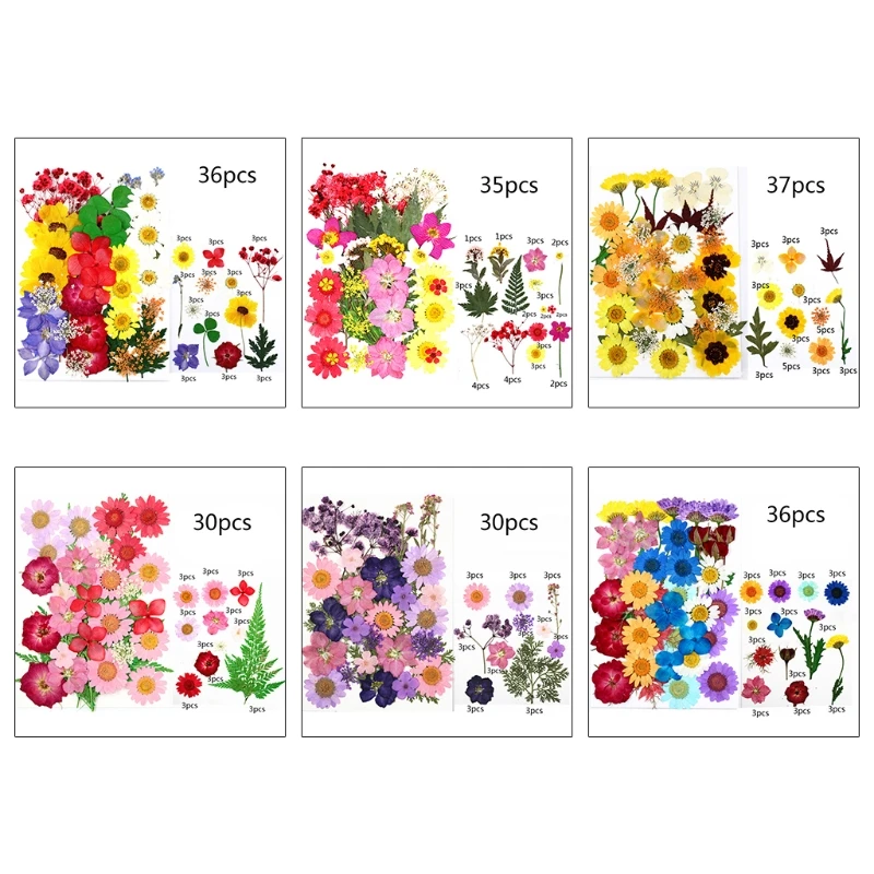 1 Pack Resin Beauty Art Decals Epoxy Mold Fillings Dry Flower Mixed Dried Flower Pressed Leaf Daisy Flower Herbs Kit