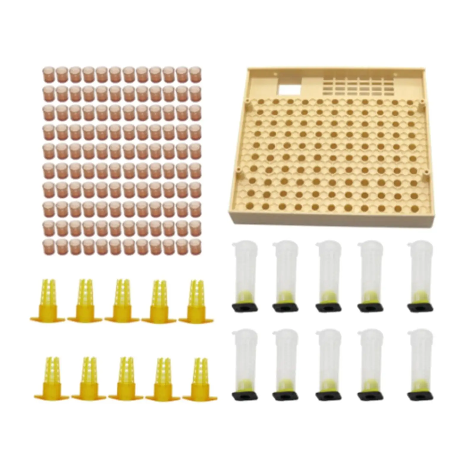 Queen Rearing Cup Box Kit Complete for Bee Breeding Cage Cell Cup Tools